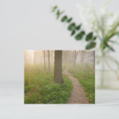 Wanderweg führt in eine Waldpostkarte Postkarte (Stehend Vorderseite)