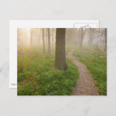 Wanderweg führt in eine Waldpostkarte Postkarte (Vorne/Hinten)