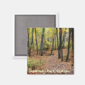 Wanderweg im Herbst, Gatineau Park, Quebec. Magnet (Vorderseite/Rückseite)