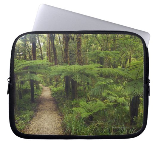 Wanderweg im Regenwald mit Farnbäumen - Laptopschutzhülle (Vorderseite)