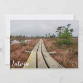 Wanderweg im Sumpf (Vorderseite)