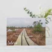 Wanderweg im Sumpf (Stehend Vorderseite)