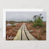 Wanderweg im Sumpf (Vorne/Hinten)