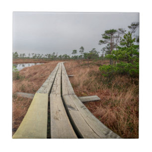 Wanderweg im Sumpf Fliese