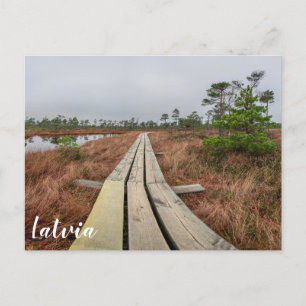 Wanderweg im Sumpf Postkarte