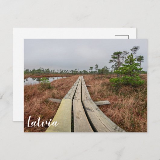 Wanderweg im Sumpf Postkarte (Vorne/Hinten)