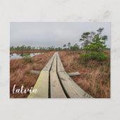 Wanderweg im Sumpf Postkarte (Vorderseite)