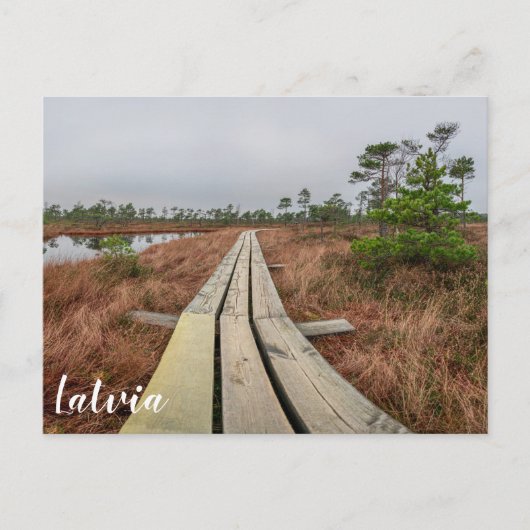 Wanderweg im Sumpf Postkarte (Vorderseite)