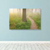 Wanderweg in eine Leinwand (Insitu (Holzboden))