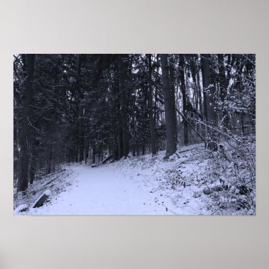 Wanderweg mit Schnee bedeckt 2 Poster (Vorne)