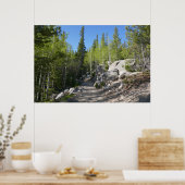 Wanderweg nach Alberta Falls Poster (Küche)