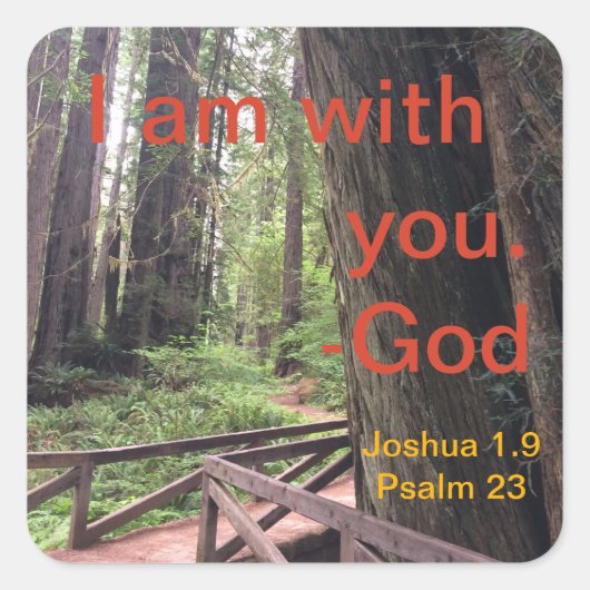 Wanderweg Olympischer Nationalpark Quadratischer Aufkleber (Vorderseite)