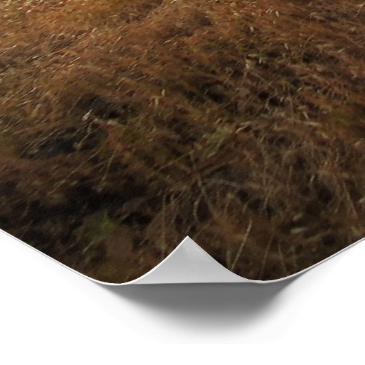 Wanderweg Poster (Ecke)