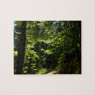 Wanderweg von Silver Falls Puzzle