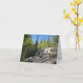 Wanderweg zu Alberta Falls Karte (Gelbe Blume)