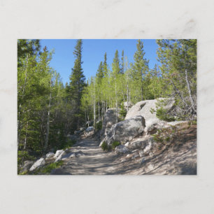 Wanderweg zu Alberta Falls Postkarte