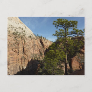 Wanderweg zu Angels Landing im Zion National Park Postkarte