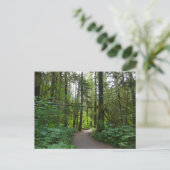 Wanderweg zu den Marymere-Fällen I Postkarte (Stehend Vorderseite)
