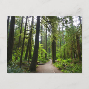 Wanderweg zu den Marymere Falls II Postkarte