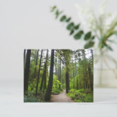 Wanderweg zu den Marymere Falls II Postkarte (Stehend Vorderseite)