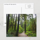 Wanderweg zu den Marymere Falls II Postkarte (Vorne/Hinten)