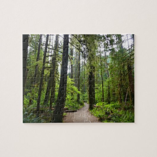 Wanderweg zu den Marymere Falls II Puzzle (Horizontal)