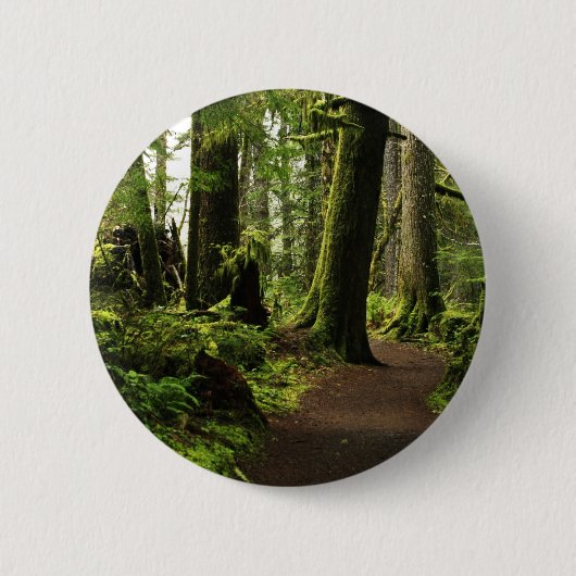 Wanderweg zwischen Riesen Button (Vorderseite)