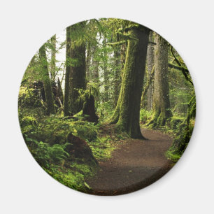 Wanderweg zwischen Riesen Magnet