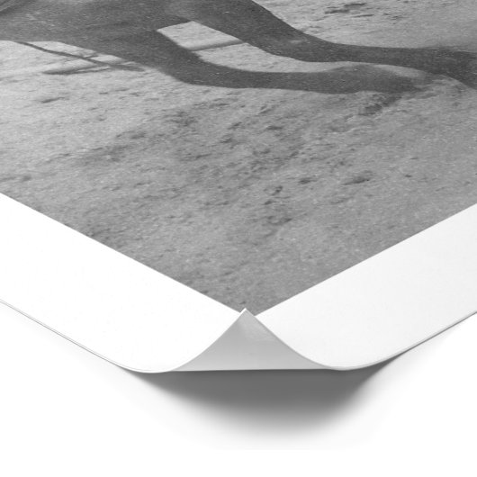 Wanderwege Alaska 1908 Poster (Ecke)