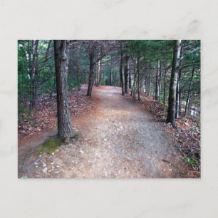 Wanderwege Walden Pond Postkarte