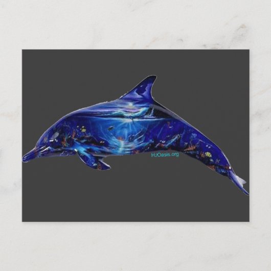 Wandgemälde im Delphin Postkarte (Vorderseite)