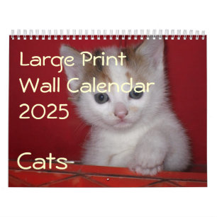 Wandkalender 2025 in großer Schrift - Katzen