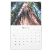 Wandkalender 2026 Richardson Grove - Einzelblatt (Mär 2026)