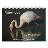 Wandkalender der Flamingo-2019 (Titelbild)