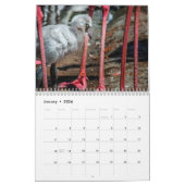 Wandkalender der Flamingo-2019 (Jan 2026)