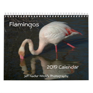 Wandkalender der Flamingo-2019