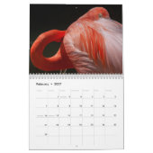 Wandkalender der Flamingo-2019 (Feb 2027)