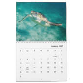 Wandkalender der Meeresschildkröte-2019 (Jan 2027)