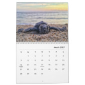 Wandkalender der Meeresschildkröte-2019 (Mär 2027)