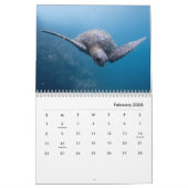 Wandkalender der Meeresschildkröte-2019 (Feb 2026)