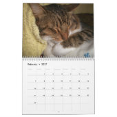Wandkalender der Schlafenkatzen 2017 (Feb 2027)