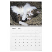 Wandkalender der Schlafenkatzen 2017 (Jan 2027)