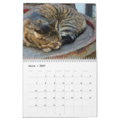 Wandkalender der Schlafenkatzen 2017 (Mär 2027)