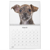 Wandkalender der Schutz-Welpen-2012 (Mär 2027)