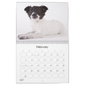 Wandkalender der Schutz-Welpen-2012 (Feb 2027)