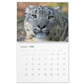 Wandkalender mit Fotos der wilden Katzen (Jan 2026)