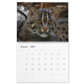 Wandkalender mit Fotos der wilden Katzen (Feb 2026)