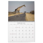 Wandkalender Namibias 2013 (Feb 2027)