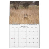 Wandkalender Namibias 2013 (Mär 2027)