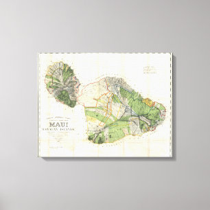 Wandkarte 1885 De Witt Alexander von Maui, Hawaii Leinwanddruck
